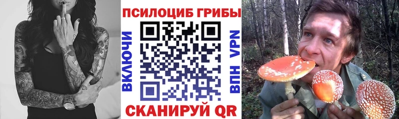 Галлюциногенные грибы мицелий  как найти закладки  Горячеводский 